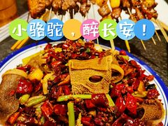 -福苗小骆驼烧烤(曲江店)