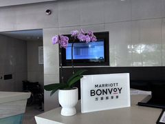 -厦门喜来登酒店