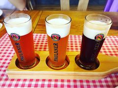 -Paulaner·德国帕拉娜自酿啤酒餐厅(海上世界店)