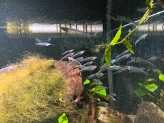 -太平洋海底世界