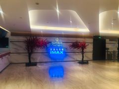 -英皇电影城(英皇集团中心IMAX店)