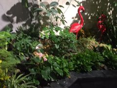 -红状元·空中花园火锅(金龙大道店)