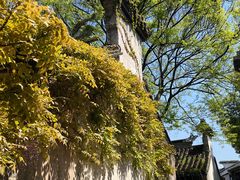 -惠山古镇·寄畅园