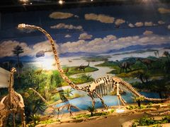 -自贡恐龙博物馆