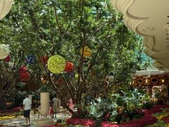 -拉斯维加斯永利酒店