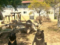 -石家庄市动物园