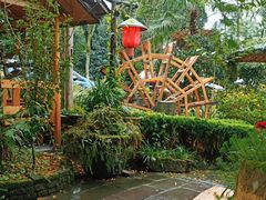 -青城甲(青城山店)