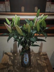 -禾颜社·精致美容