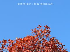 -北京西山国家森林公园