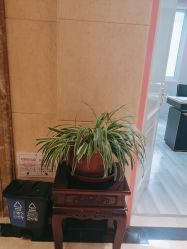 -北京俪婴妇产医院(朝阳大悦城店)