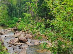 -广州白江湖森林公园