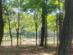 -秦皇岛野生动物园