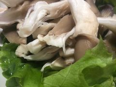 -老诚一锅羊蝎子(黄寺大街店)
