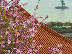 -南沙天后宫景区