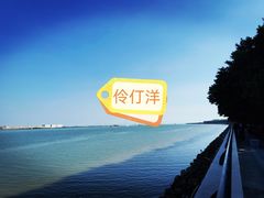 -大湾区中央湿地公园