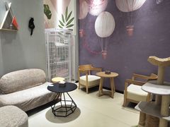 用餐区-藏猫猫咖啡主题馆(中央大道店)