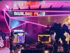 -Darling Queen·Mini·Live·House