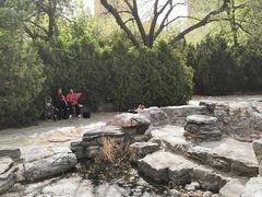 -莲花池公园
