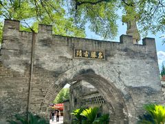 -大槐树寻根祭祖园
