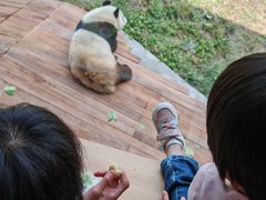 -西安秦岭野生动物园