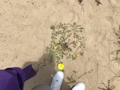 -六鳌翡翠湾滨海度假景区