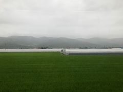 -富田农场