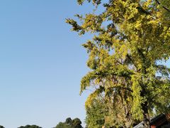 -平安里(地铁站)