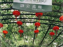 -渤公岛生态公园