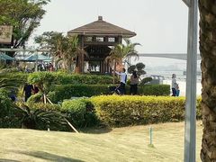 -大湾区中央湿地公园
