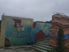 -广东惠东海龟国家级自然保护区