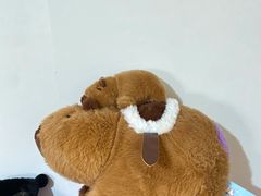-世界之窗阿尔卑斯冰雪世界