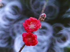 -桃花涧