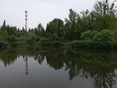 -桤木河湿地公园