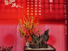 -颐和园