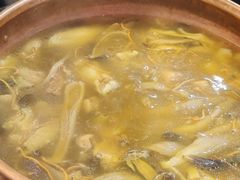 云南新鲜野生菌散养鸡火塘-阿山卓·野生菌火锅·纳西火塘烤肉