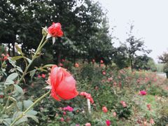 -西安汉城湖景区