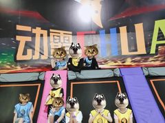 -嘿哟动霸CHUA·新潮玩运动娱乐中心·蹦床滑冰团建乐园