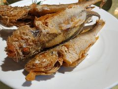 -铜锣湾·有麝自然香(重庆新天地店)