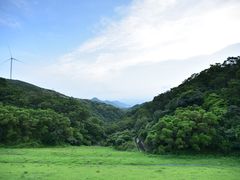 -大姆山草场