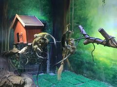 -华夏文旅海洋公园