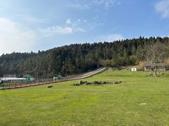 -武陵山森林公园