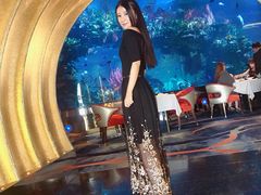 -迪拜帆船酒店海底餐厅