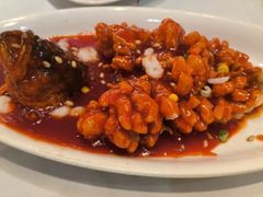 松鼠厥鱼-丰收日(五角场店)