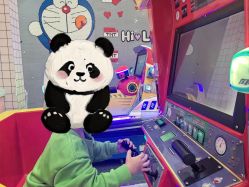 -宝燕乐园(春申店)