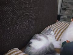 -宠颐生中康贝怡动物医院