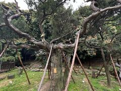 -草庵摩尼教遗址公园