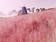 -花博汇(知音花月夜)