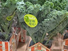 -山姆会员商店(西溪店)