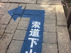 -崂山巨峰游览区