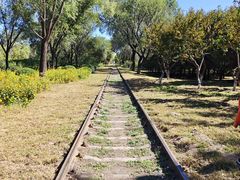 -永定河休闲森林公园